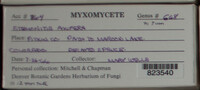 Image Associated With the Occurence